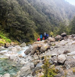 Arthurs Pass National Park River