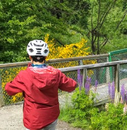Biking Arrow River Trail