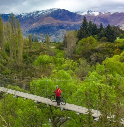 Biking the trails near Arrowtown