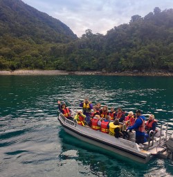 1 boat tour milford sound fiordland2