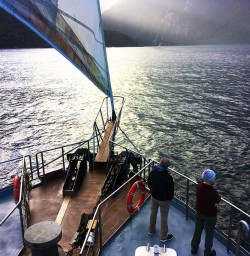 Enjoying the serenity at Milford Sound