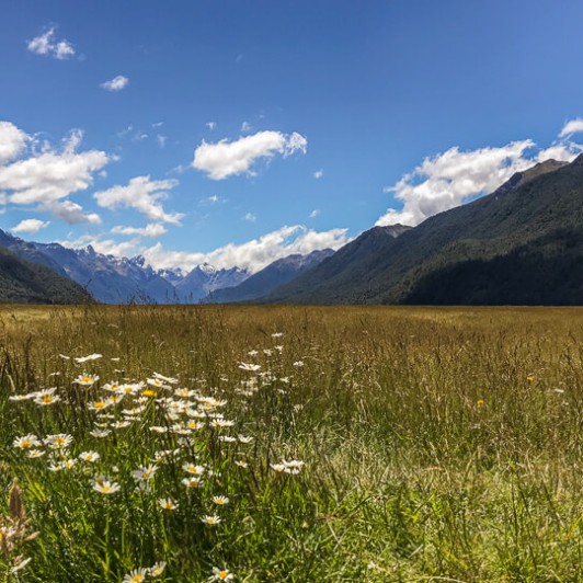 Eglinton Valley, Fiordland New Zealand