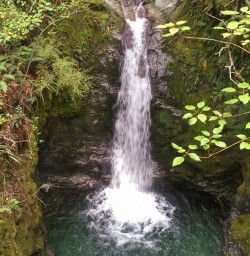 Falls at Mt Crichton Loop Track, Otago New Zealand