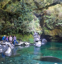 1 group cleddau river fiordland southland