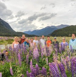 Group in lupins at Eglinton Valley, Fiordland New Zealand