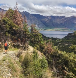 Group walking above Lake Dispute, Otago New Zealand