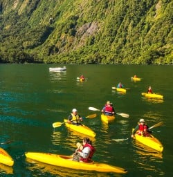 Guests kayaking in Milford Sound