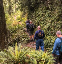 Hiking around Wakatipu Barin, Otago New Zealand