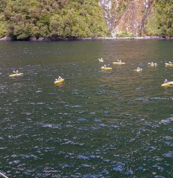 Kayaking tour at Milford Sound, Fiordland New Zealand