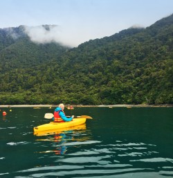 1 kayaking anita bay milford sound