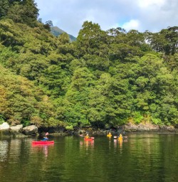 Kayaking in Doubtful Sound