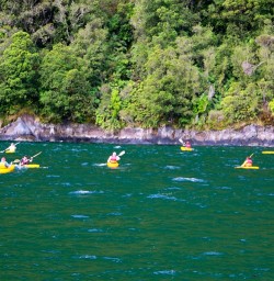 Checking out Harrison's Cove by kayak