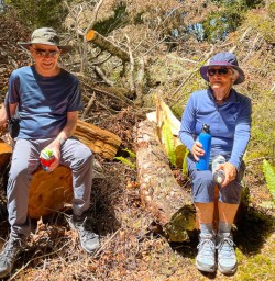 Kepler track adventure