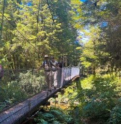 Kepler Track hiking adventures 