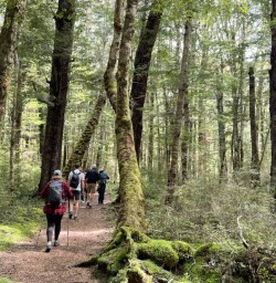 Kepler track hiking south island