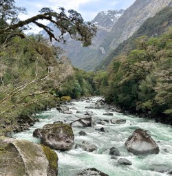 Kepler Track hiking tour