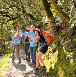 Kepler track hiking adventure