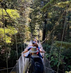 Kepler track walking tours 