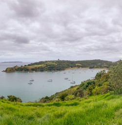 Matiatia Bay, Waiheke Island Auckland New Zealand