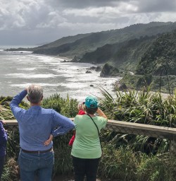 Meybille Bay, West Coast New Zealand