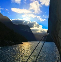 Coming into Milford Sound under sail. Beautiful.