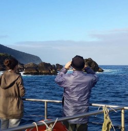 Looking out at the Coast from Milford Sound