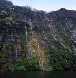 Milford Sound Cliffs