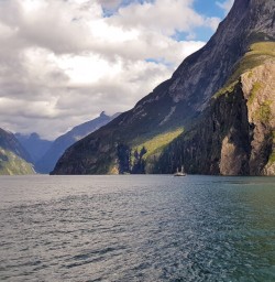 Milford sound view, Fiordland Southland New Zealand