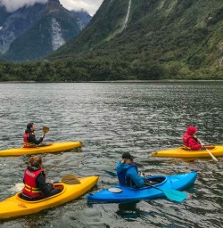 Milford Sound kayaks