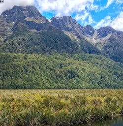 Mirror Lakes Fiordland National Park