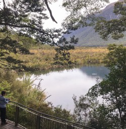 Mirror Lakes at Fiordland, New Zealand