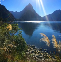1 mitre peak milford sound fiordland2