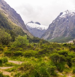 Monkey Creek, Fiordland New Zealand