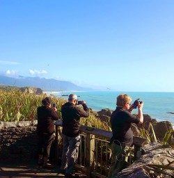Group at Punakaiki Pancake Rocks