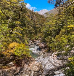 River at at Arthurs Pass National Park, Canterbury New Zealand
