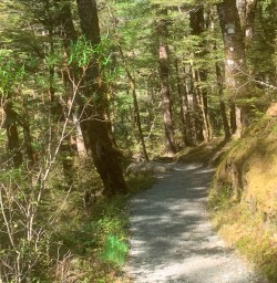 Routeburn hiking adventure