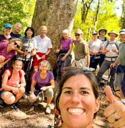 1. Kauri Tree walk