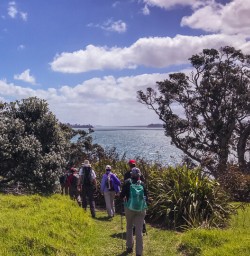 Walking along Matiatia Bay, Waiheke Island Auckland New Zealand