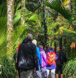 Walking the Paparoa National Park, West Coast New Zealand