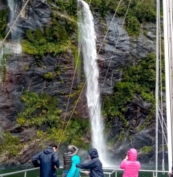 Waterfalls in Milford Sound