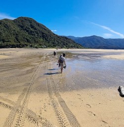 Adventure tour in Able Tasman National Park 