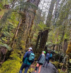 Hike Lake Matheson 28 October 2024 8