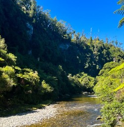 10 Hike Paparoa National Park G24FEB25