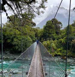 Hollyford Track in Fiordland National Park