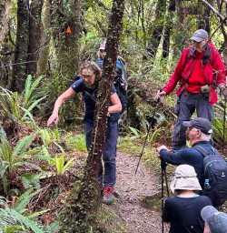 Hollyford Track walking tours 