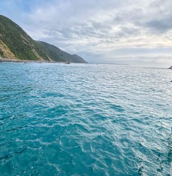 Kaikoura boat tours with New Zealand Trails