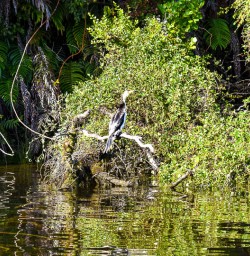 Kayaking tours NZ Trails 