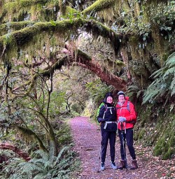 Kepler Track walking tours