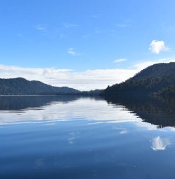 Lake Mapourika walking tours 