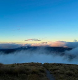 New Zealand Trails hiking and adventure tours 